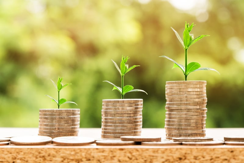 Financial Wellness